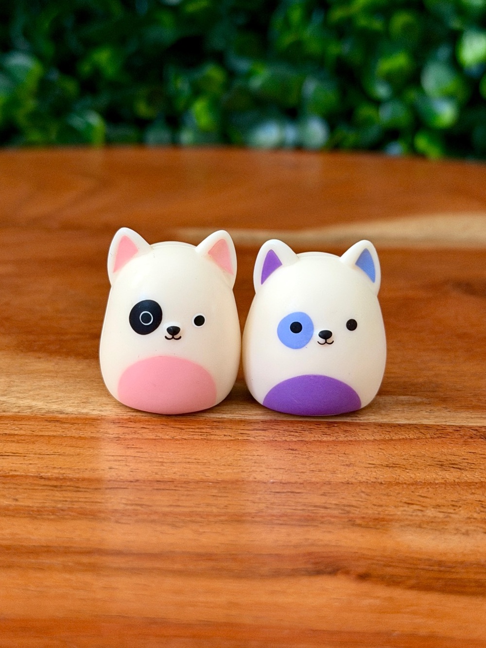 Squish-a-longs by Squishmallows Bull Terrier Bundle